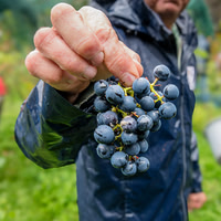 2025 10 04 Villers-la-Vigne 005