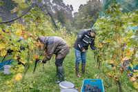 2025 10 04 Villers-la-Vigne 012