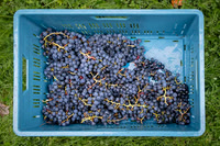 2025 10 04 Villers-la-Vigne 014