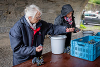 2025 10 04 Villers-la-Vigne 019