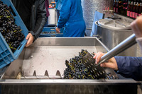 2025 10 04 Villers-la-Vigne 053