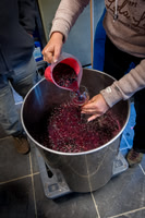2025 10 05 Villers-la-Vigne Chais 16
