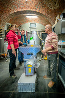 11-10-2025 Eraflage Foulage