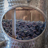 2025 10 11 Villers-la-Vigne Chais 14