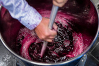 2025 10 11 Villers-la-Vigne Chais 19