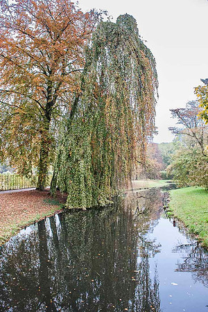 Parc de Sans-Souci