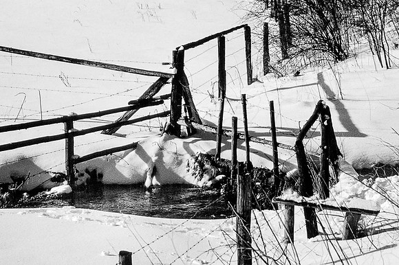 Small river - Decembre 1989