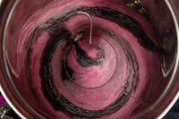 2025 11 25 fermentation malolactique n° 6