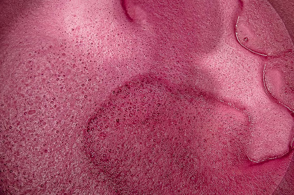 2025 11 25 fermentation malolactique n° 9