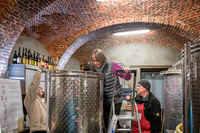 2025 11 25 fermentation malolactique n° 7