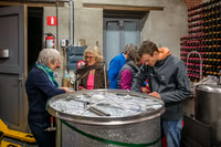 2025 11 25 fermentation malolactique n° 12