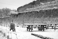 2026 01 11 Villers-la-Vigne n° 002