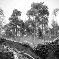 2026 01 11 Villers-la-Vigne n° 003