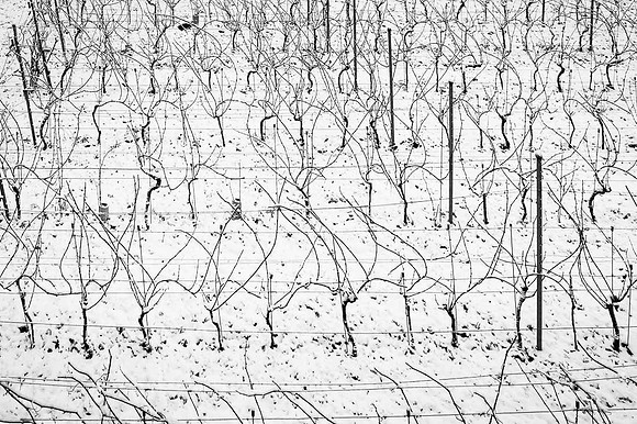 2026 01 11 Villers-la-Vigne n° 004
