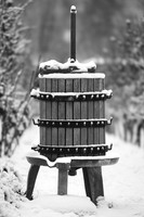 2026 01 11 Villers-la-Vigne n° 008