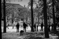 Place Dauphine, île de la Cité