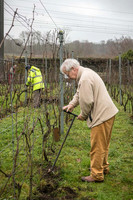 2026 01 31 Villers-la-Vigne n° 03