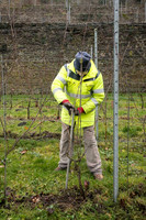 2026 01 31 Villers-la-Vigne n° 05