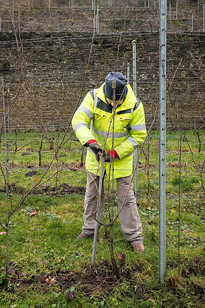 2026 01 31 Villers-la-Vigne n° 05