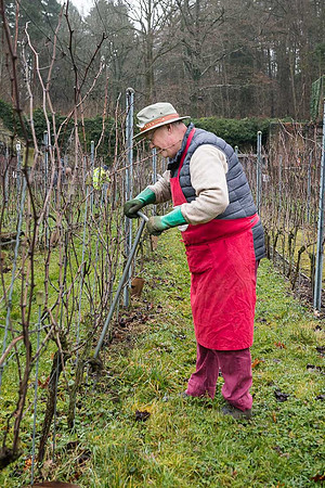2026 01 31 Villers-la-Vigne n° 04