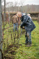 2026 01 31 Villers-la-Vigne n° 02