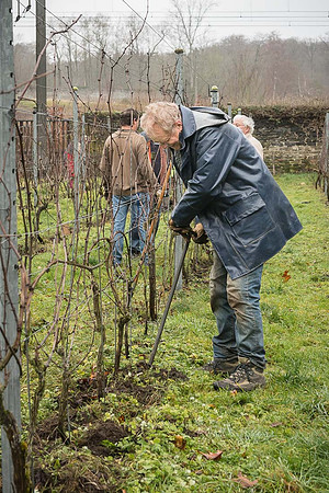 2026 01 31 Villers-la-Vigne n° 02