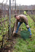 2026 01 31 Villers-la-Vigne n° 07