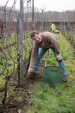 2026 01 31 Villers-la-Vigne n° 07