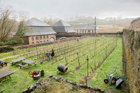 2026 01 31 Villers-la-Vigne n° 09