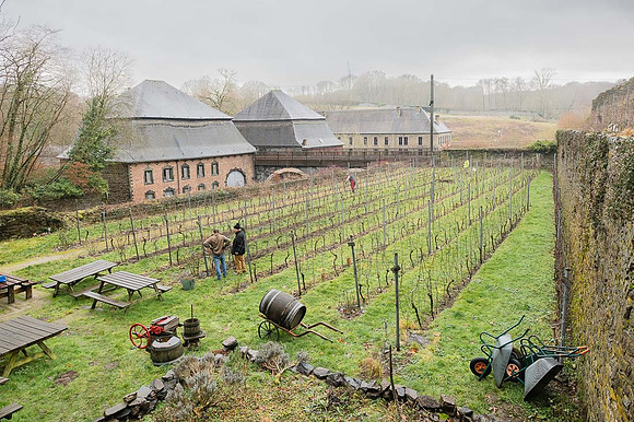 2026 01 31 Villers-la-Vigne n° 09