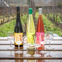 2026 01 31 Villers-la-Vigne n° 14