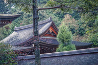 Kiyomizu-dera (Temple boudhiste de l'Eau Pure)