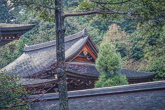 Kiyomizu-dera (Temple boudhiste de l'Eau Pure)