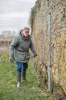 2026 02 14 Entretien vigne n° 03