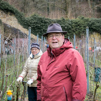 2026 02 14 Entretien vigne n° 06