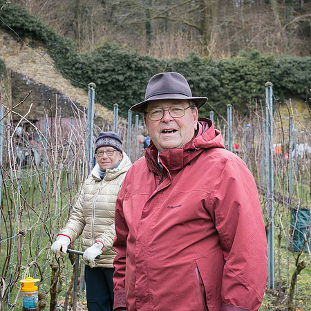 2026 02 14 Entretien vigne n° 06