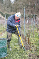 2026 02 14 Entretien vigne n° 07