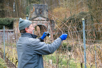 14-02-2026 Entretien de la Vigne (c'est sans fin...)
