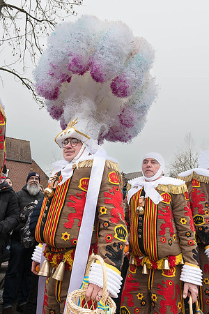 2026 02 15 Carnaval de Villers-la-Ville n° 037