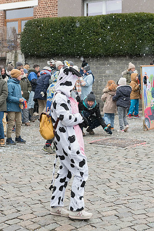 2026 02 15 Carnaval de Villers-la-Ville n° 060