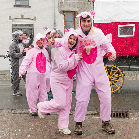 2026 02 15 Carnaval de Villers-la-Ville n° 083