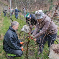 2026-03-14 Villers-la-Vigne n° 05