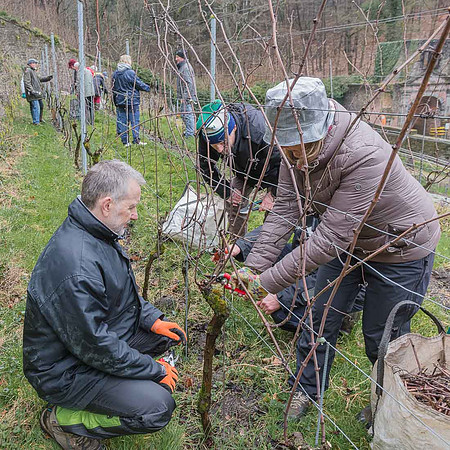 2026-03-14 Villers-la-Vigne n° 05