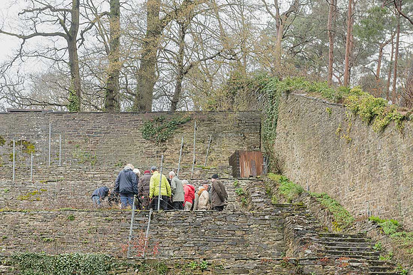2026-03-14 Villers-la-Vigne n° 01
