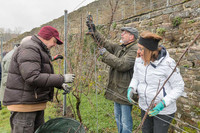 2026-03-14 Villers-la-Vigne n° 04