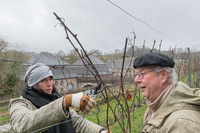 2026-03-14 Villers-la-Vigne n° 03