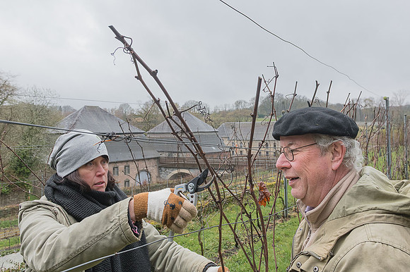 2026-03-14 Villers-la-Vigne n° 03