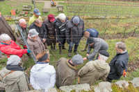2026-03-14 Villers-la-Vigne n° 02