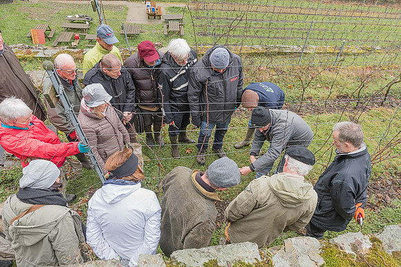 2026-03-14 Villers-la-Vigne n° 02