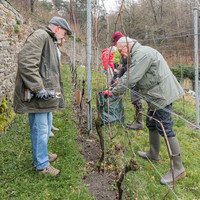 2026-03-14 Villers-la-Vigne n° 06